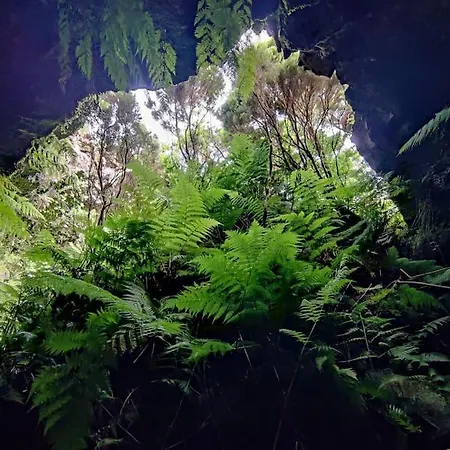 Perola Do Pico فيلة