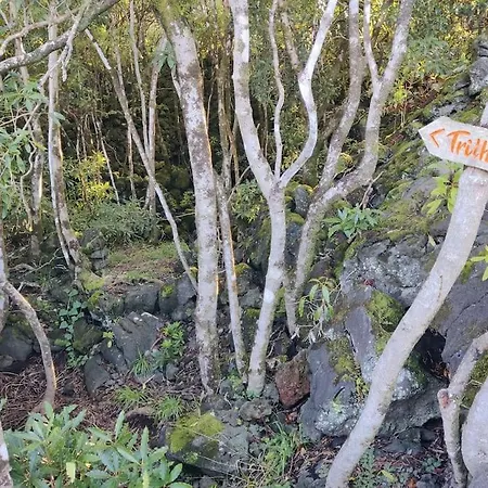 Perola Do Pico * مادالينا