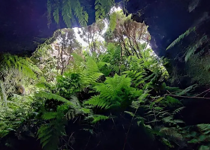 Pérola Do Pico Villa