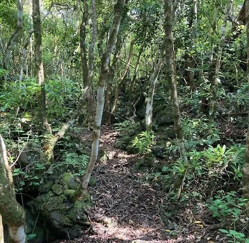 Pérola Do Pico Villa