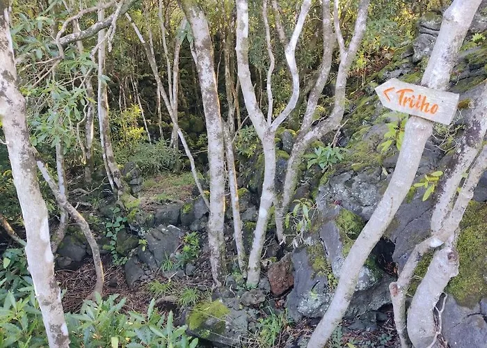 Pérola Do Pico * Madalena (Azores)