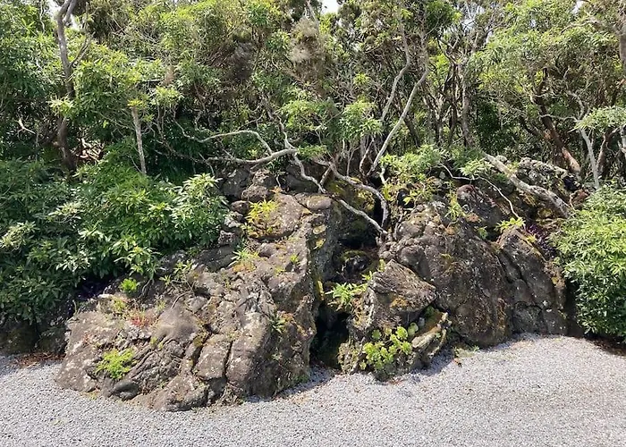 Pérola Do Pico Villa *