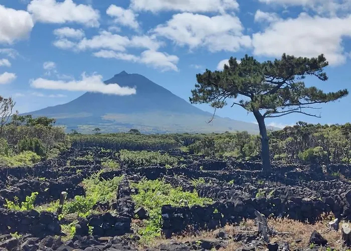 Villa Pérola Do Pico *