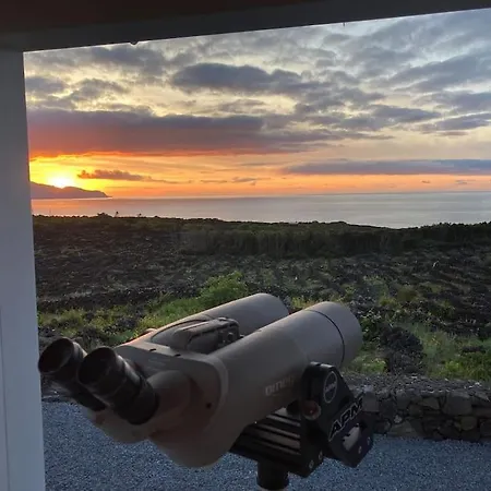 Perola Do Pico Madalena (Azores)