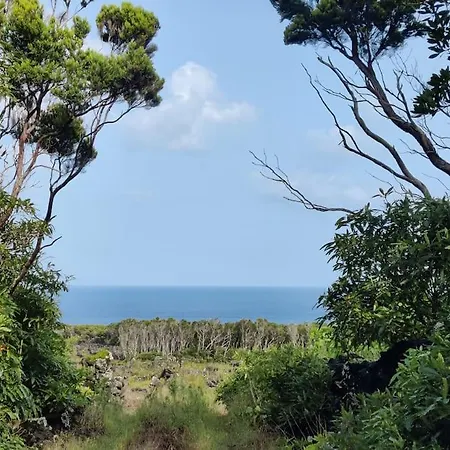 Villa Perola Do Pico