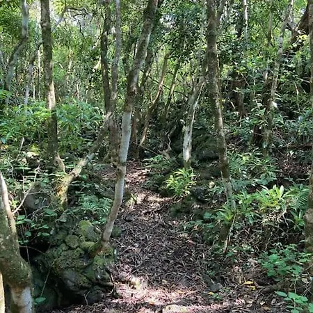 Perola Do Pico Villa