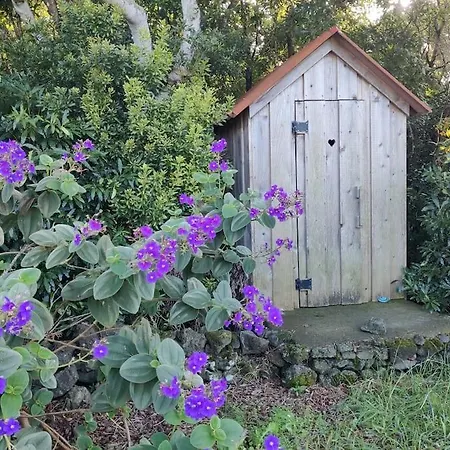 Perola Do Pico Madalena (Azores)