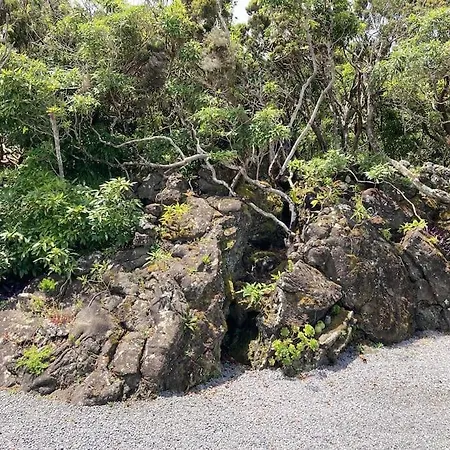 Perola Do Pico Villa *