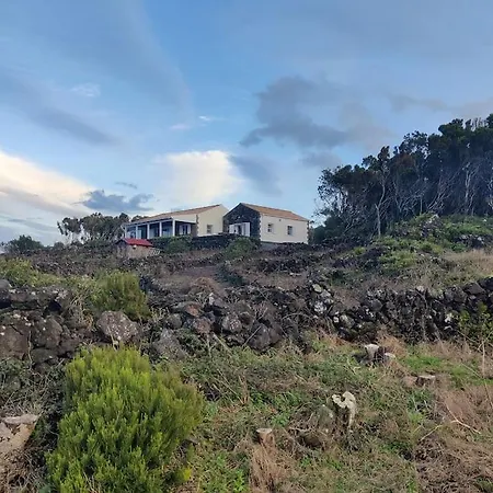 Perola Do Pico Madalena (Azores)