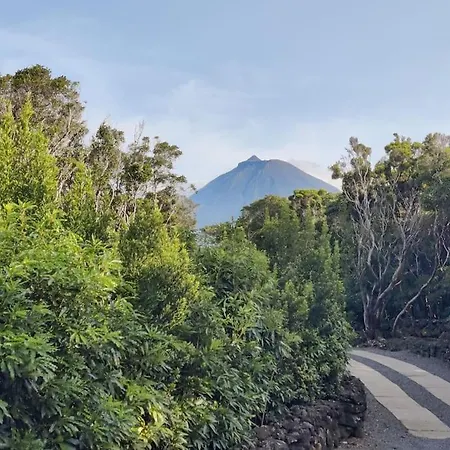 Perola Do Pico