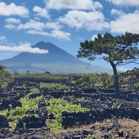 Villa Perola Do Pico *