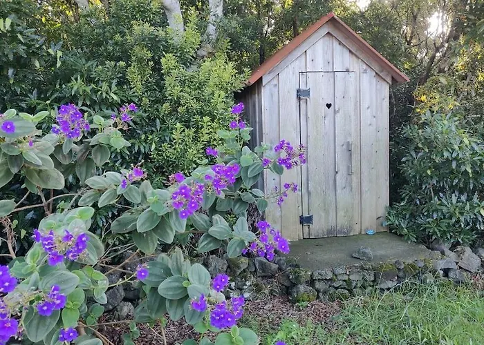 Perola Do Pico מדלנה