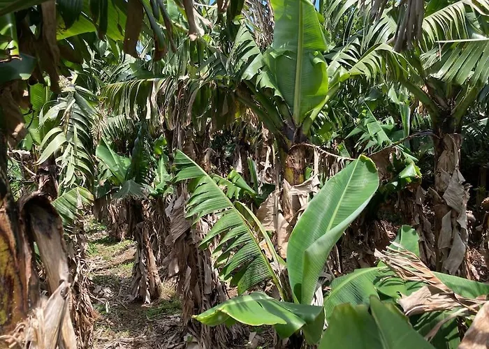 וילה Perola Do Pico